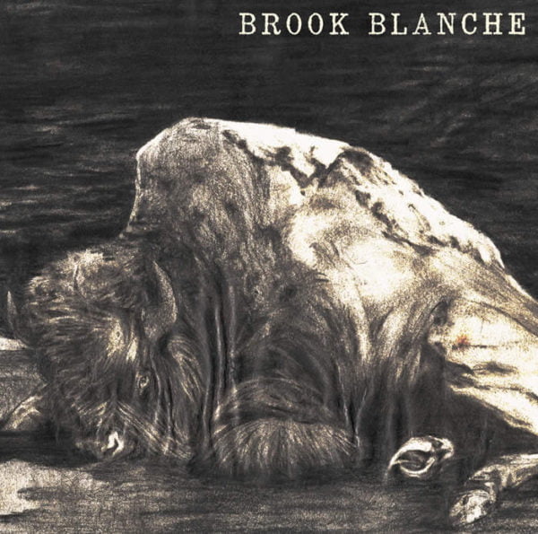 Brook Blanche: Brook Blanche