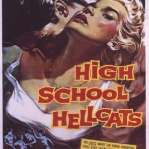 High School Hellcats DVD