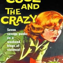 Cool And The Crazy DVD