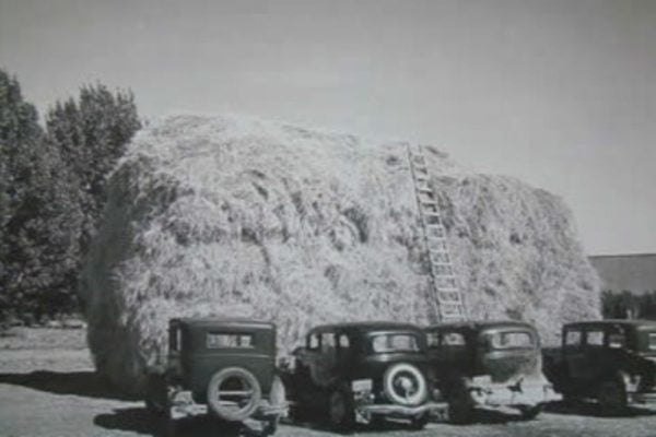 Old Sedans Parked At The Haystack