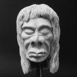 Shrunken Head Shift Knob, Column