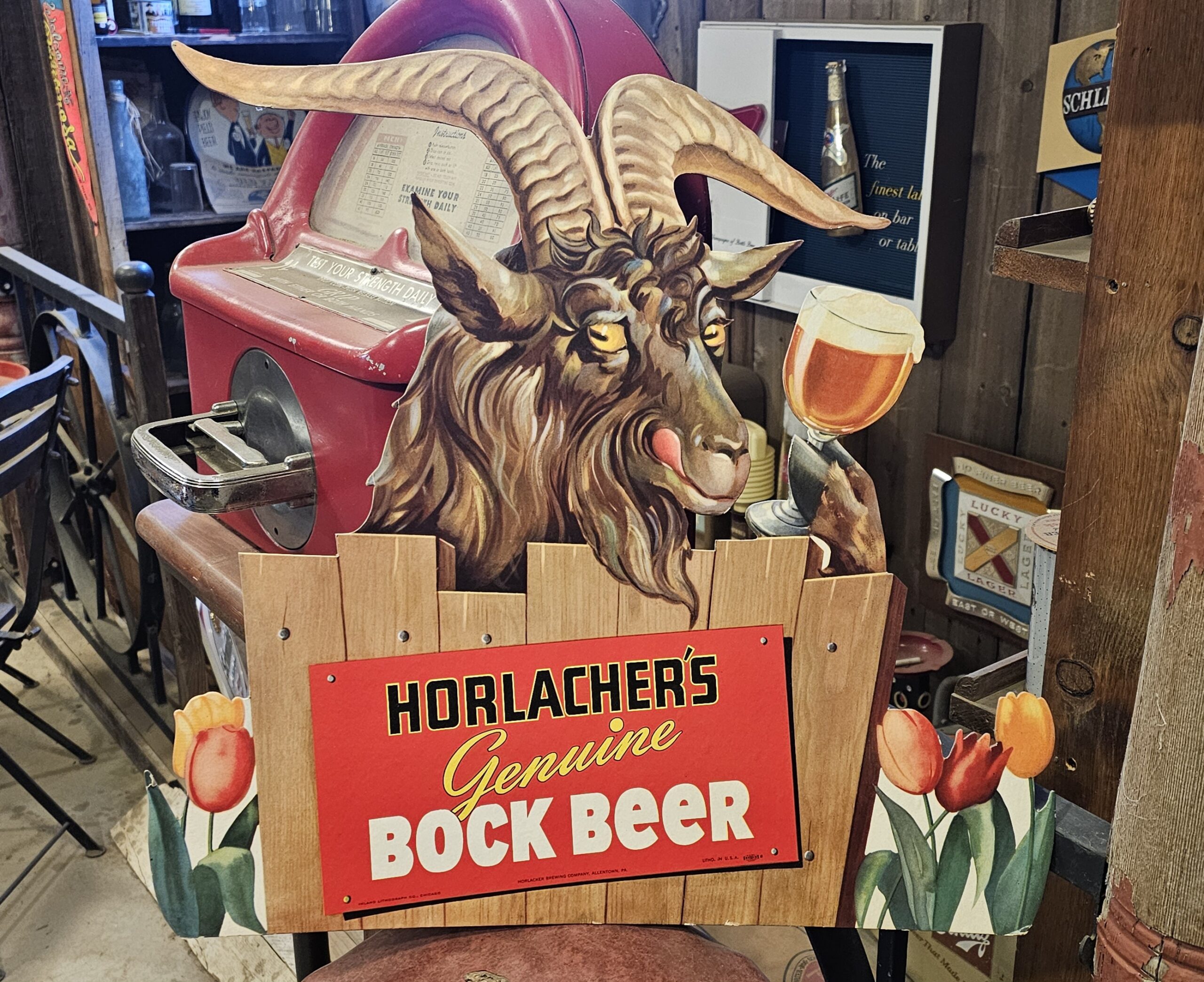 Horlachers Genuine Bock Beer Display