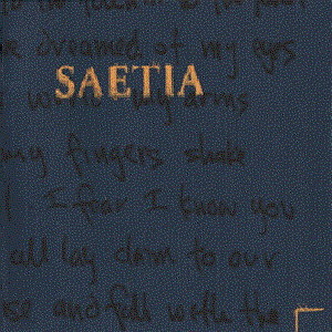 Saetia A Retrospective