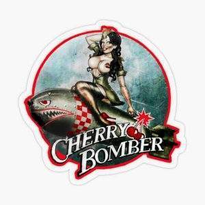 Cherry Bomber Pin-Up Sticker