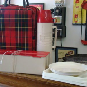 Thermos Picnic Set With Carry Case