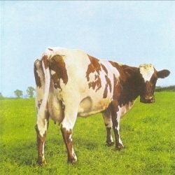 Pink Floyd Atom Heart Mother