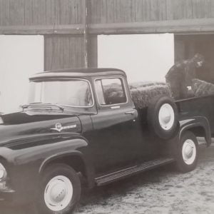 1956 Ford Farm Truck Loading Hay