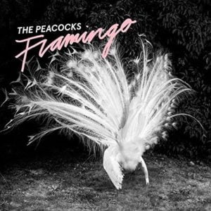 Peacocks: Flamingo