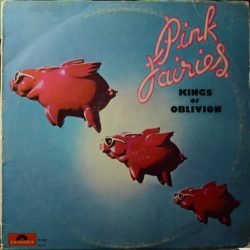 Pink Fairies: Kings Of Oblivion